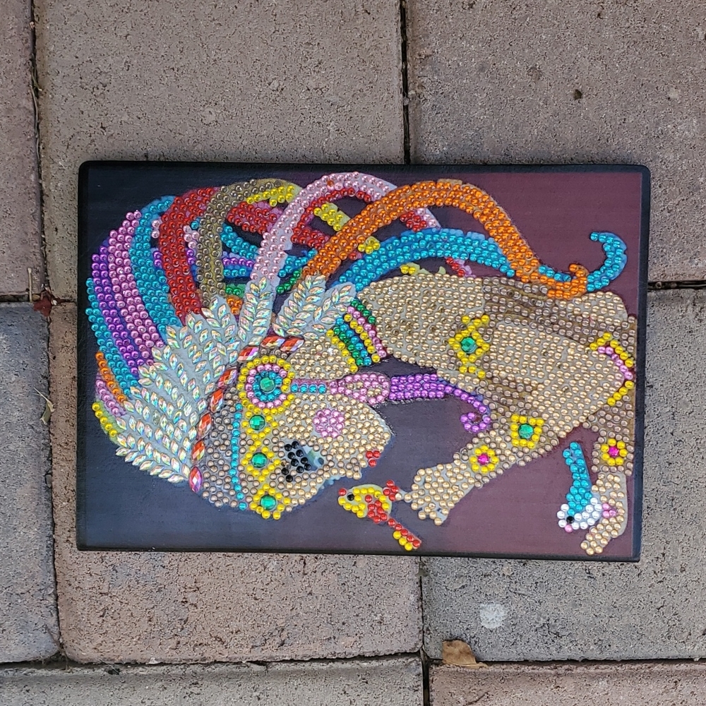 Jeweled Indigenous Notebook/Journal nwot